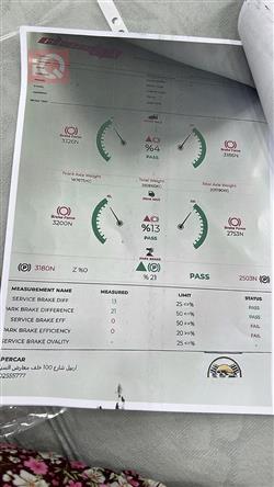 جيب رينيجيد